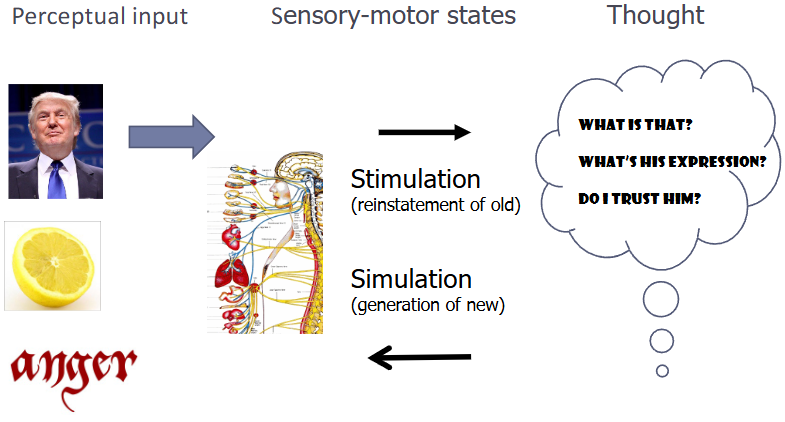<ul><li><p>processing using embodied modality based mechanisms</p><ul><li><p>input</p><ul><li><p>sensory</p></li></ul></li><li><p>motor state</p><ul><li><p>stimulation (old)</p></li><li><p>simulation (new)</p></li></ul></li><li><p>thought</p></li></ul></li></ul><p></p>