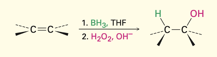 <ul><li><p>non markovnikov syn addition</p></li></ul><p></p>