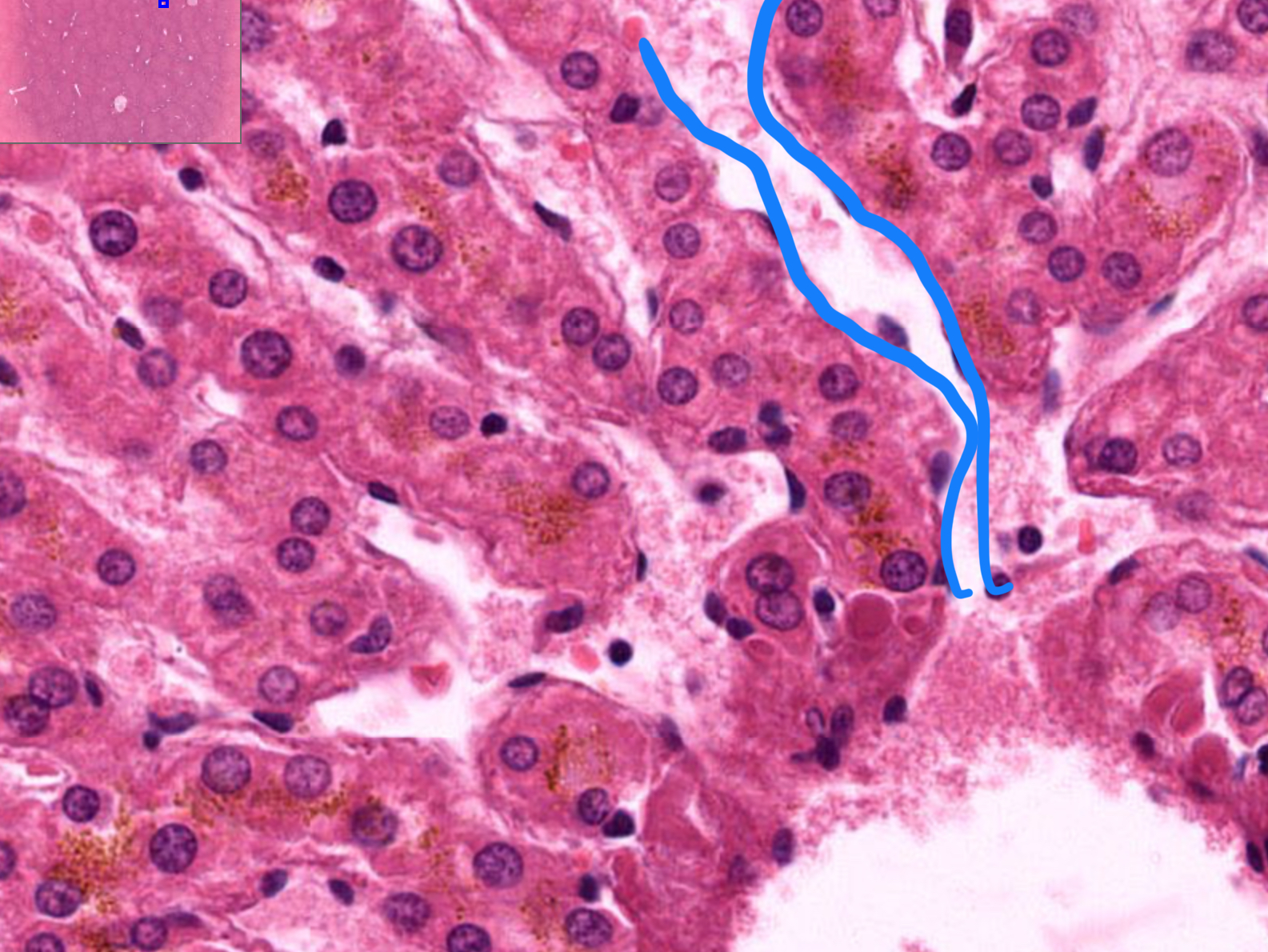 <p>What is this?</p>