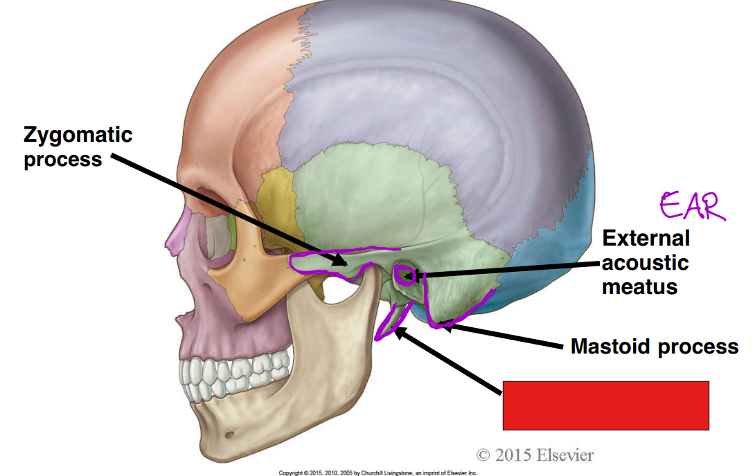 <p>Fill in the red box: </p>