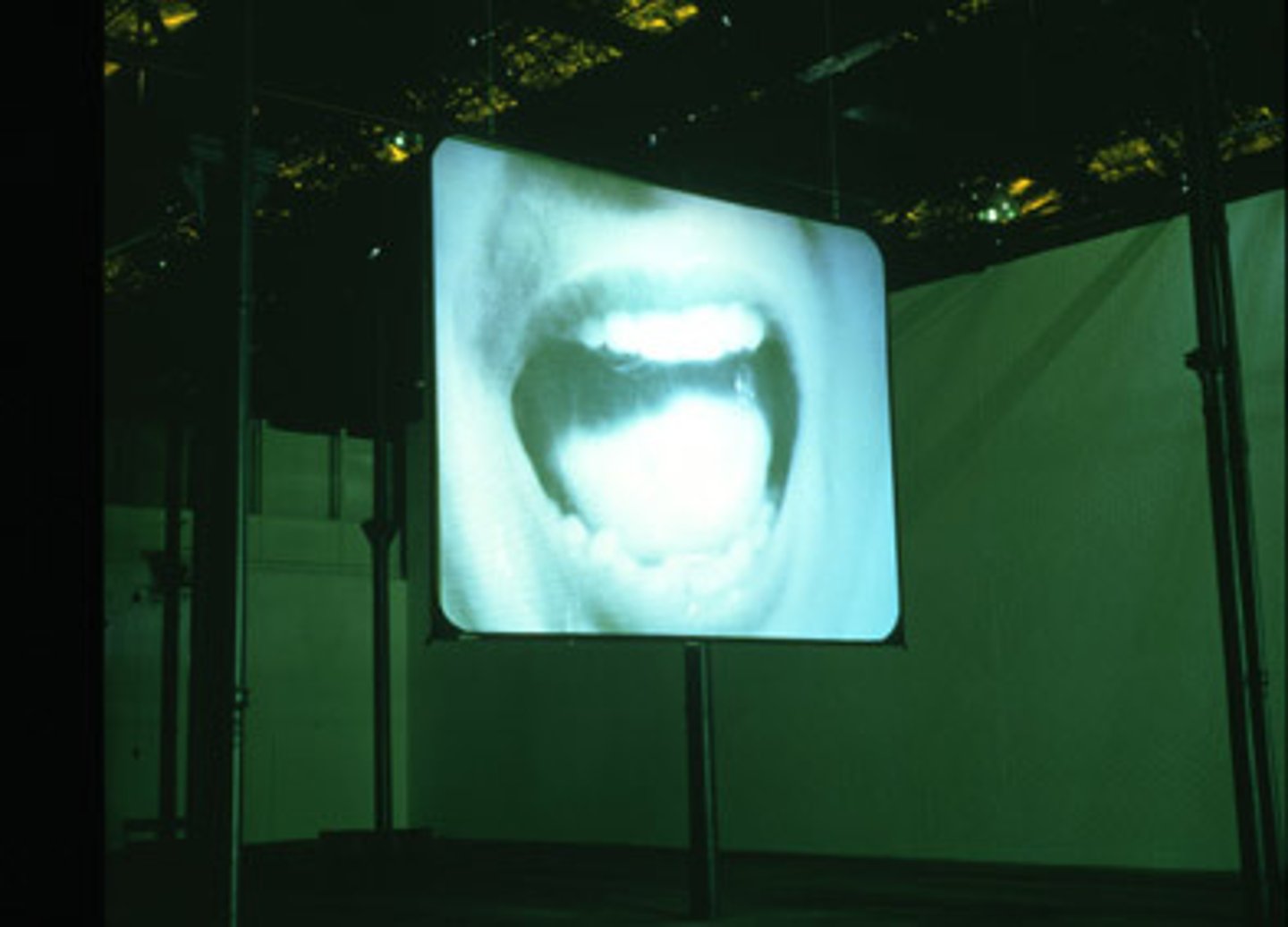 <p>Douglas Gordon (Installation, Large-Scale Video Art</p><ul><li><p><strong>1 Story:</strong> Slows <em>Psycho</em> to 24 hours; suspense becomes meditation.</p></li><li><p><strong>2 Changes:</strong> Demonstrates postmodern appropriation’s deconstruction of narrative.</p></li><li><p><strong>3 Context:</strong> Media saturation and film theory’s critique of spectatorship.</p></li><li><p><strong>4 New Approaches:</strong> Turns cinema into sculptural installation through altered duration.</p></li></ul><p></p>