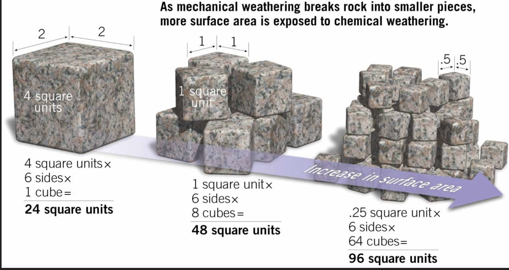 <p>Mechanical weathering breaks rock into smaller pieces, therefore more surface area for chemical weathering</p>