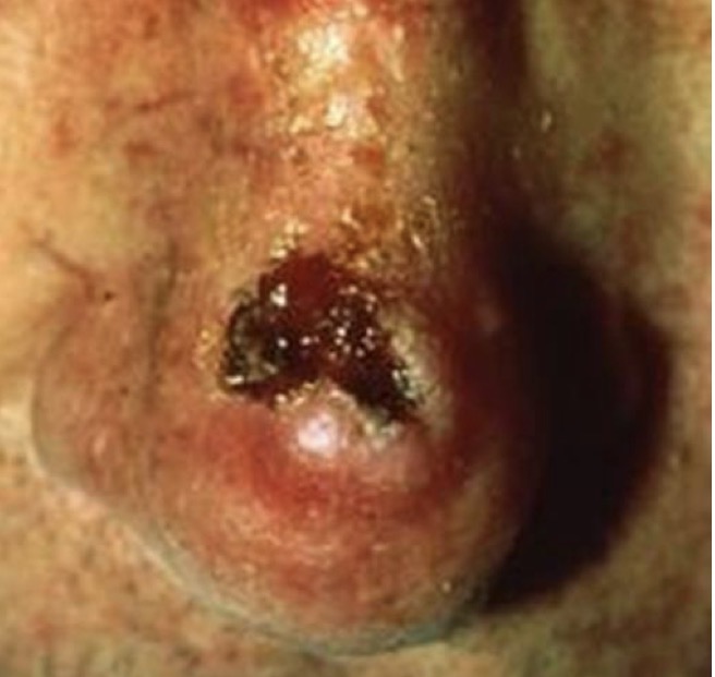 <p>A- identify</p><p>B- describe</p><p>C- originate from ?</p>