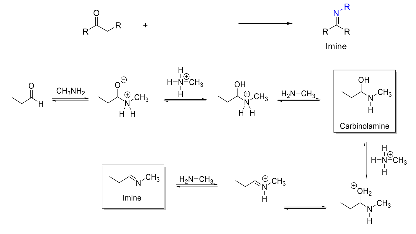 <p>Imine Formation</p>