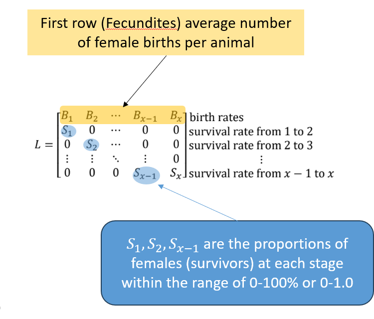 <ul><li><p><strong>First row:</strong> Birth rates (fecundities) — average female offspring per age group, can be &gt;1 or 0 if no births.</p></li><li><p><strong>Subsequent rows:</strong> Survival rates — proportion moving from one age group to the next (0 to 1).</p></li><li><p><strong>Last row:</strong> Survival of oldest group, either 0 or feeding back into itself if they survive another period.</p></li></ul><p><strong>Key:</strong> Births at top, survival flows down.</p>