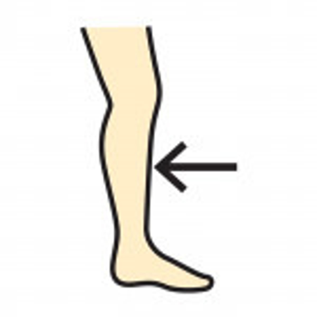 <p>shin / lower leg</p>