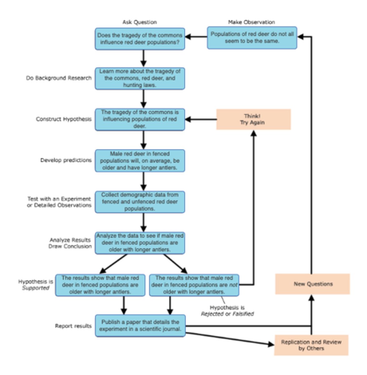 <p>method of research with defined steps that include observation, formulation of hypothesis, testing, and confirming or falsifying the hypothesis</p>