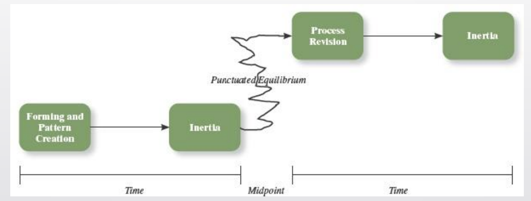 <ul><li><p>Time (first half) — members make assumptions and establish a pattern of behavior that lasts for the first half of&nbsp; the project’s life</p></li><li><p>Midpoint —members realize that they must change their approach to the task in order to complete it on time</p></li><li><p>Time (second half) — the new framework dominates team behavior until task completion</p></li></ul><p></p>
