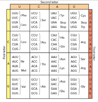 <p><span><span>You have made random-sequence synthetic RNA molecules that contains only A and C, and which contain twice as much A as C. You use these RNAs to perform </span></span><em>in vitro</em><span><span> translation. How many different amino acids would you find in the resulting polypeptides? And at what frequency would you expect to find Proline (Pro) in the resulting polypeptides?</span></span></p>