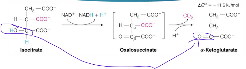 <p>oxidation</p><ul><li><p>will be able to take OH group from a alcohol to a ketone </p></li></ul><p></p>