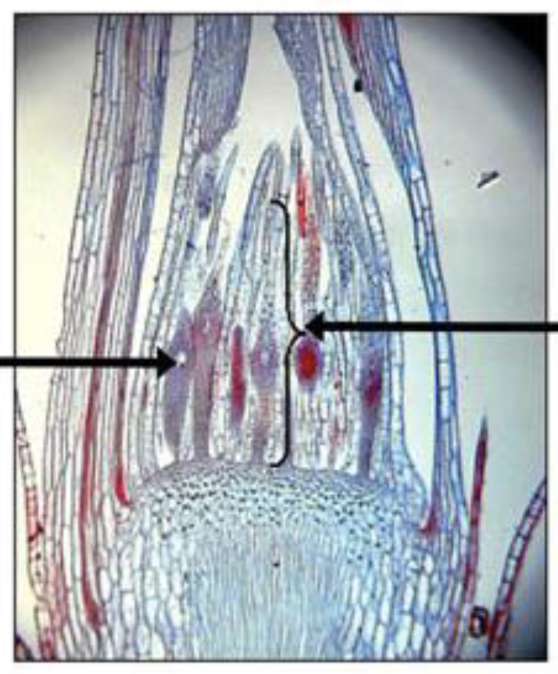 <p>What is this?</p>