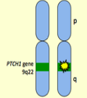 <p>What is the mode of inheritance for Nevoid Basal Cell Carcinoma syndrome?</p>