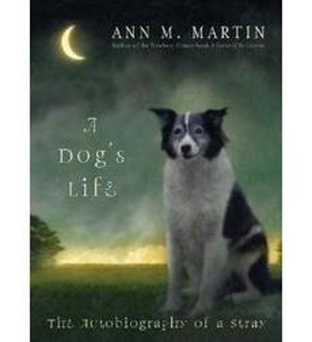 <p>an unhappy existence, full of problems or unfair treatment</p><p>Amy is desperately lonely and has a d___'s l___.</p>