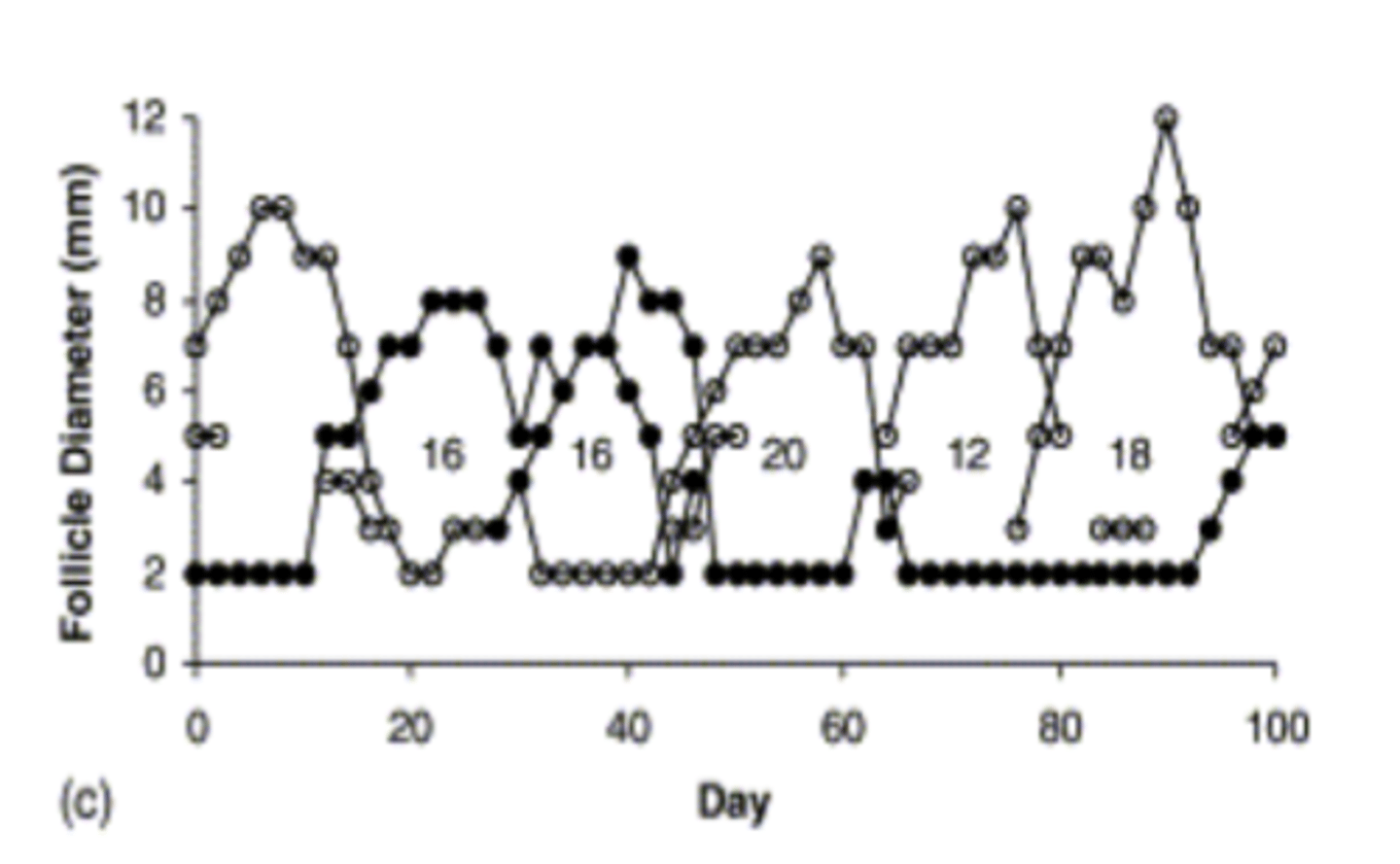 <p>1. Non-seasonal</p><p>2. Have Fibroelastic penis, Non pendulous scrotum. Small, elliptical, testes</p><p>3. Induced ovulators, ovulate 30h post mating, Have follicular waves (no oestrous cycles)</p><p>4. Non-ovulatory, Ovulatory but not pregnant, Pregnant</p><p>5. Occurs in sternal recumbency, Multiple ejaculations over prolonged period, semen deposited deep into uttering horns, 20–25-minute duration</p>