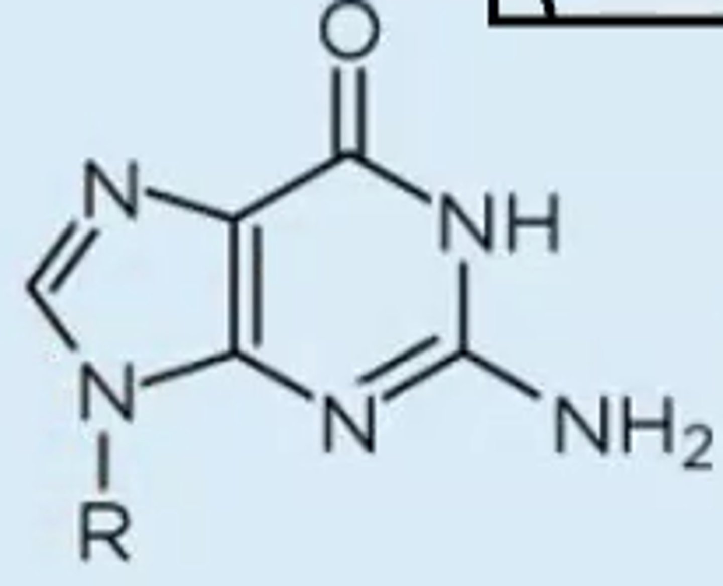 <p>purine with one carbonyl substituent and one carbonyl substituent</p>