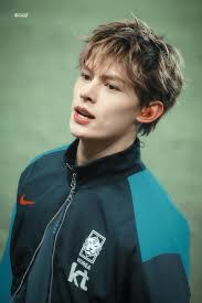 <p>ravor-shape jawline(n)</p>