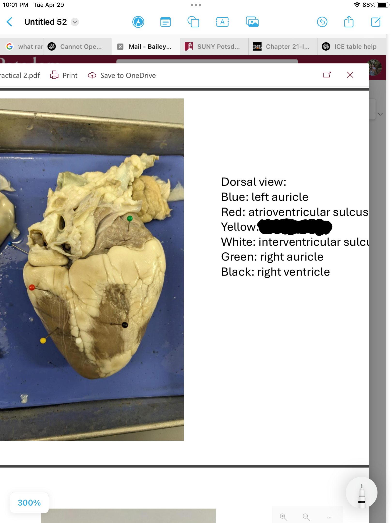 <p>label the area</p>