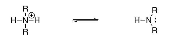 <p>Protonated secondary amine</p>