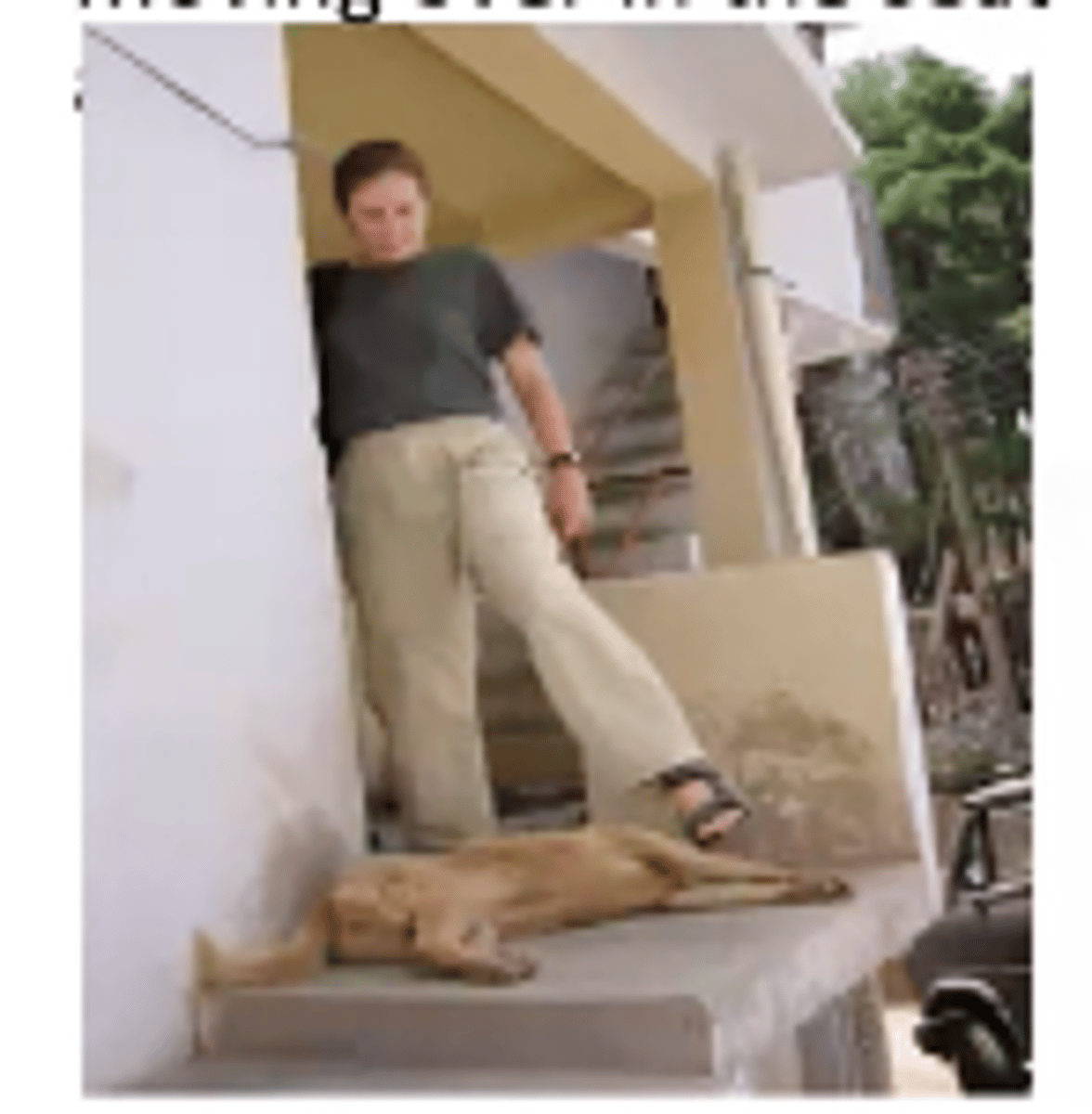 <p>Hip flexion, ABD, IR</p><p>Knee flex or extend</p><p>Ankle DF, eversion, Toe flexion</p>