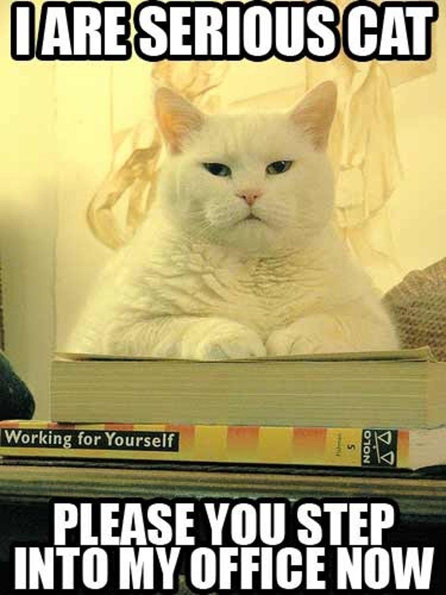 <p>pretending to be serious</p>