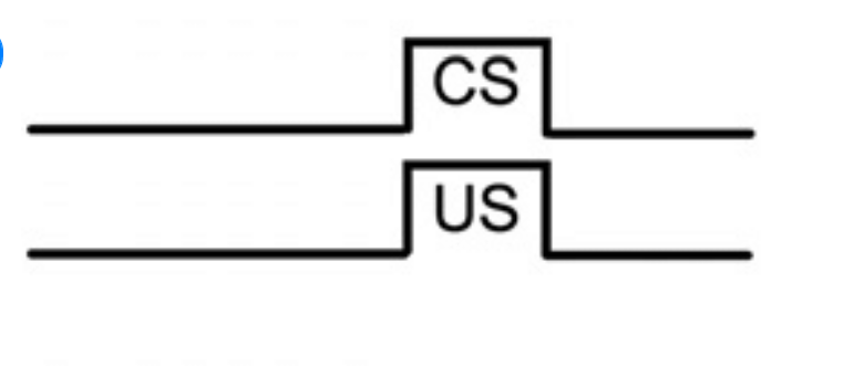 <p>Temporal arrangement where the CS &amp; US are presented at the same time but produces a weaker conditioned response</p>