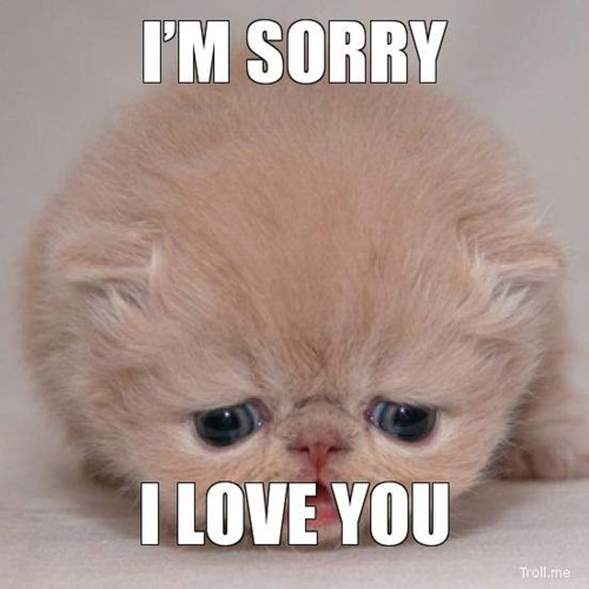 <p>(adj.) regretful for one's sins or mistakes; (n.) one who is sorry for wrongdoing</p>