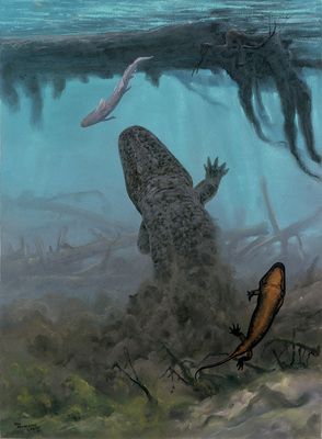 <p>Late Paleozoic organism</p>