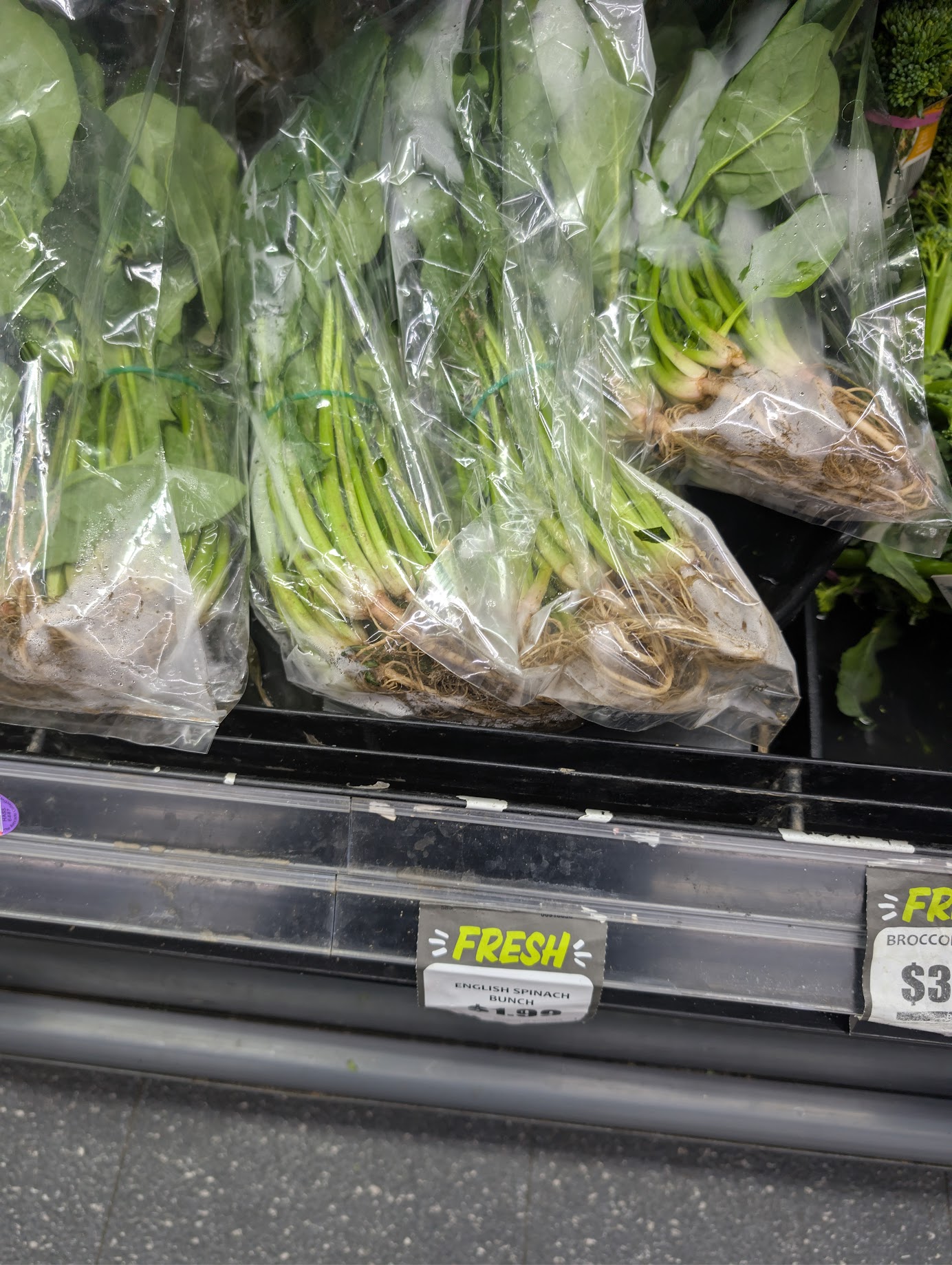 <p>English spinach</p>