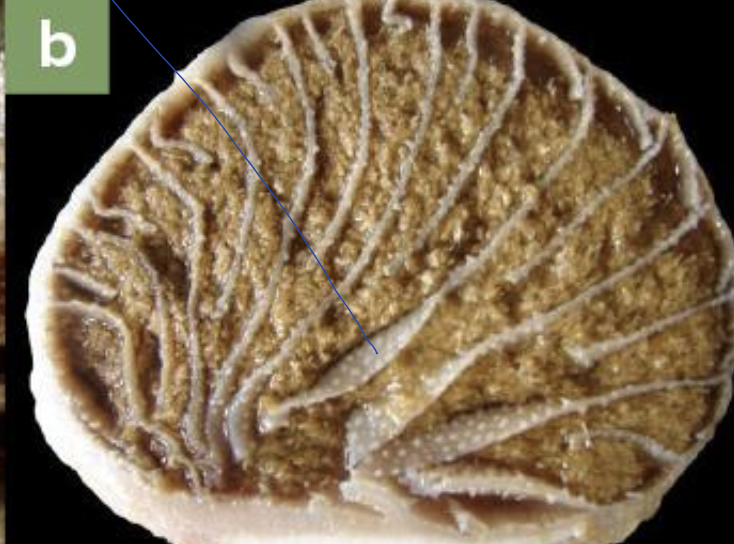 <p>what does the image show?</p>