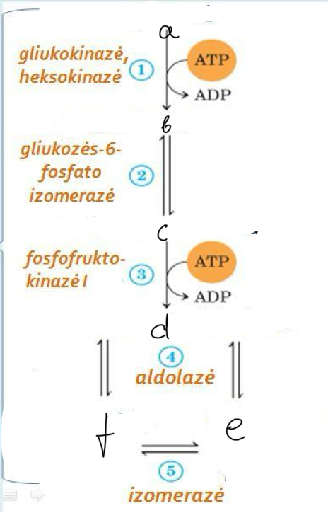 <p>d</p>
