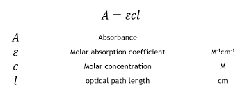 <ul><li><p>via Beer’s Law</p></li></ul><p></p>