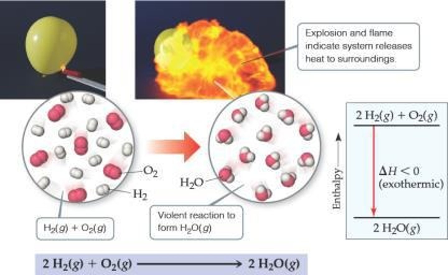 <p>Heat is released to the surroundings.</p>