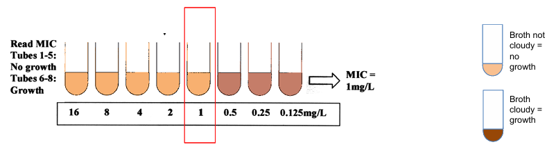 <p>fixed concentration of bacteria added to tubes/microwell plates</p><p>grow in the presence of increasing concentration of antibiotic</p><p>examine growth after 24h</p><p>at what concentration does it inhibit growth </p><p>MIC is the lowest concentration that inhibits growth</p>
