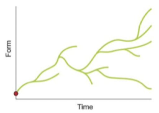 <p>Whose hypothesis is this?</p>