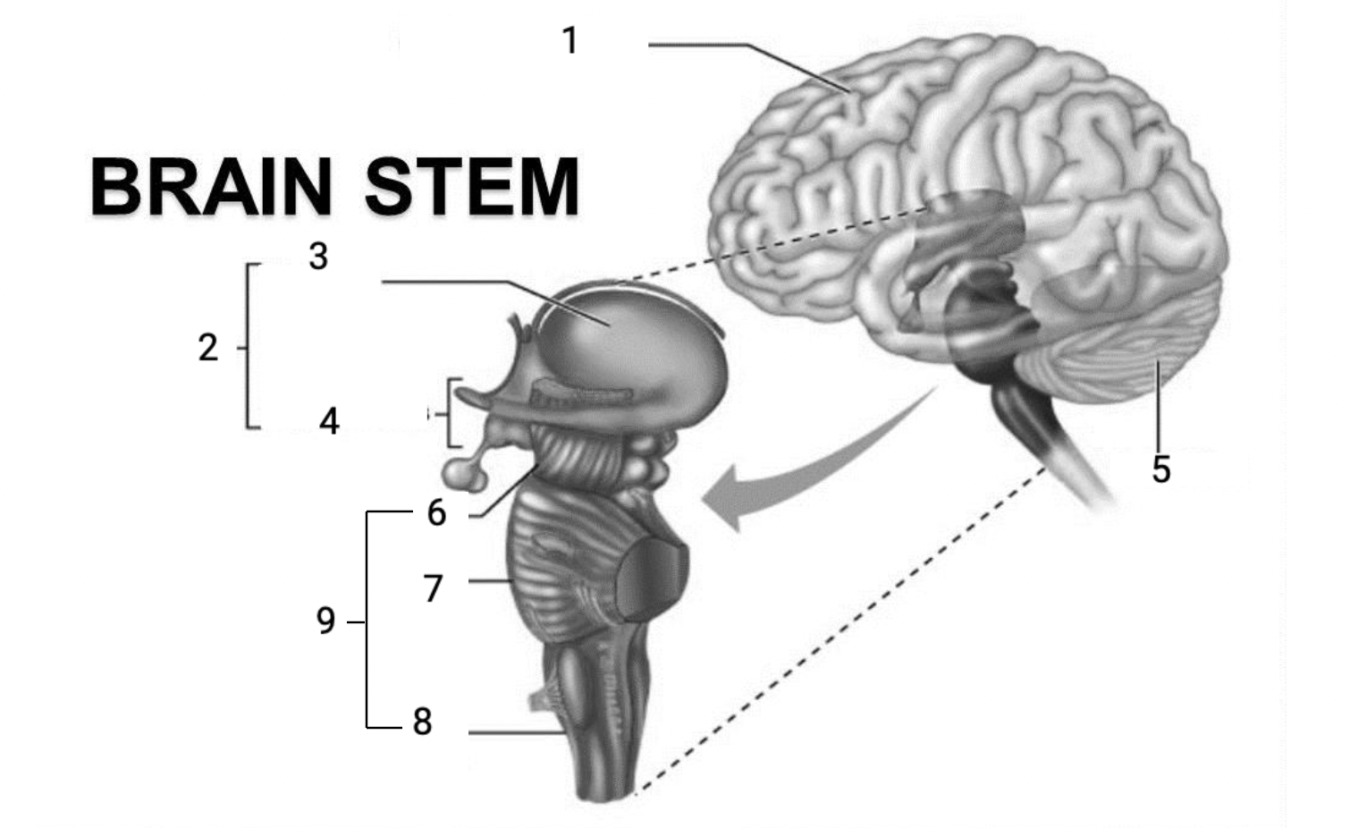<p>2</p>