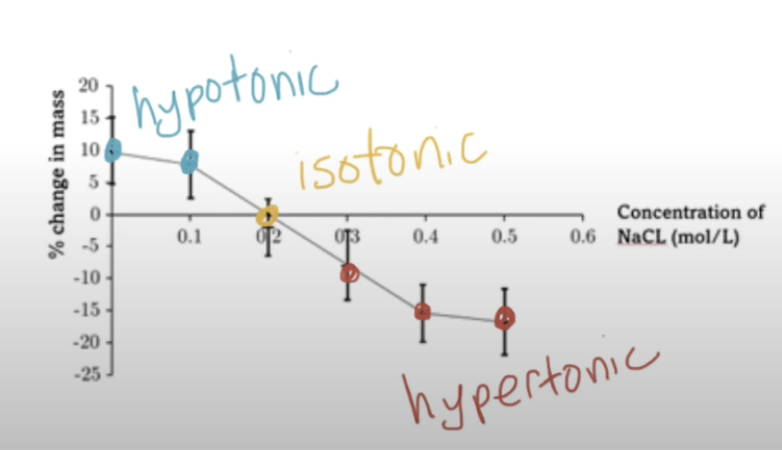 <p>0.2</p><ul><li><p>Solution + plant tissue have equal conc</p></li><li><p>Find where it crosses x axis (no net gain in mass)</p></li></ul><p></p>