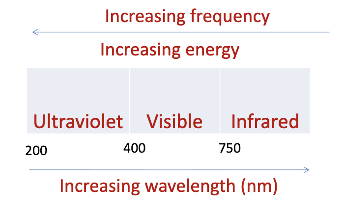 <ul><li><p>Absorption at UV and visible wavelengths: promotion of e- from HOMO to LUMO</p></li><li><p>Extended conjugation reduces HOMO to LUMO gap -> lowers the frequency = absorption at longer wavelengths</p></li></ul><p></p>