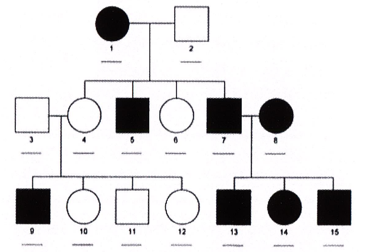 <p>Xác định kiểu di truyền trong cây phả hệ sau:</p>