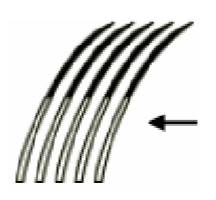 <p>Shaded </p>