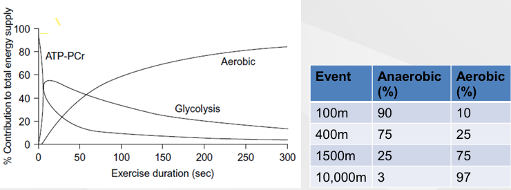 <ol><li><p>ATP-PCr System - 100m, 0-10s, use exisiting ATP stores</p></li><li><p>Glycolysis - 400m&nbsp;</p></li><li><p>Aerobic System - 1500m</p></li></ol><p></p><p></p>