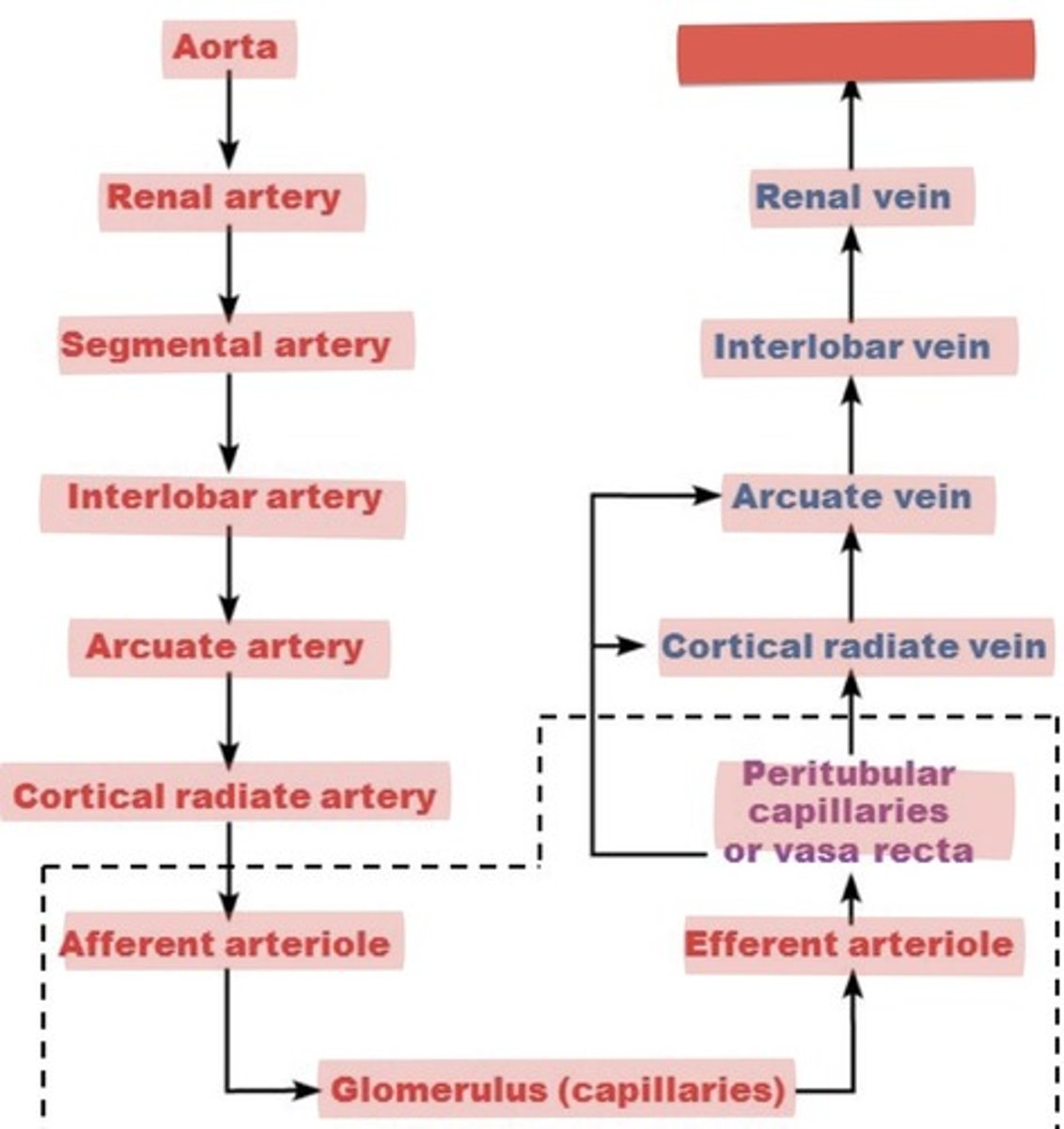 <p>What is this?</p>