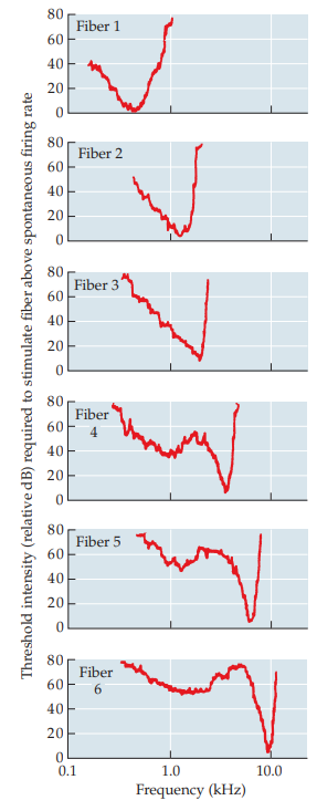 <p>map of neural response to sine waves at lowest intensity</p>