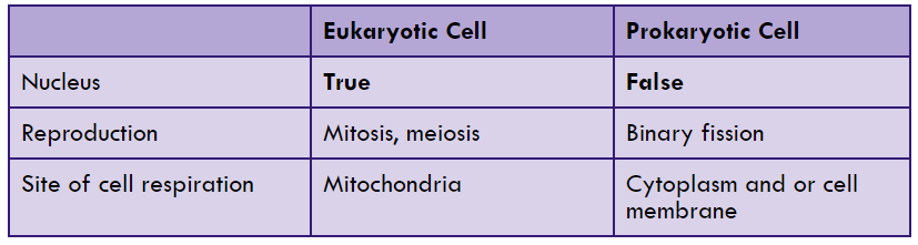**EUKARYOTES**
