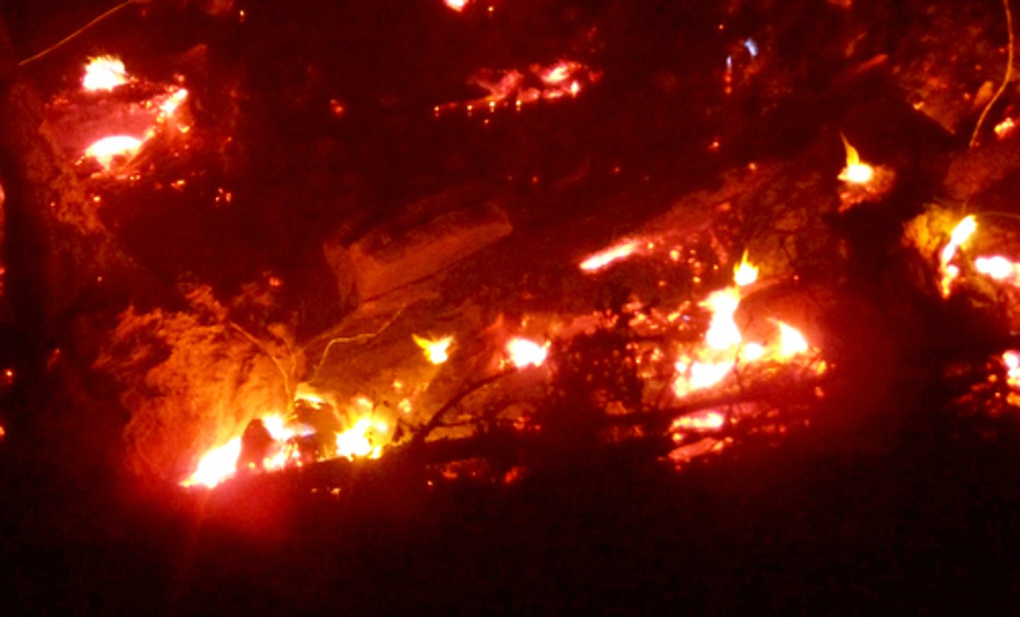 <p>Burning Wood</p>