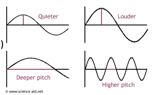 <p>Navigation by sound. High frequency sounds are emitted to gain information about the surrounding environment from the returning echo, interpreted from sound waves.</p>