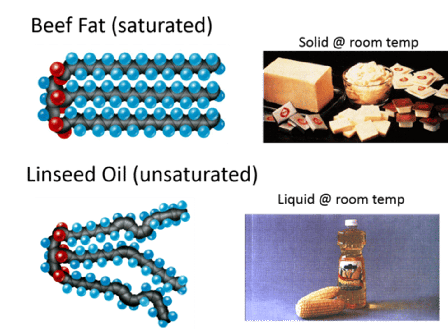 <p>- More <span class="bgP">unsaturated (double) bonds</span> which <span class="bgP">bend</span> </p><p>- <span class="bgP">Can't pack closely together</span></p><p>- So <span class="bgP">weaker intermolecular bonds</span></p><p>- So <span class="bgP">lower melting point</span></p><p>- So <span class="bgP">liquid at RT</span></p>