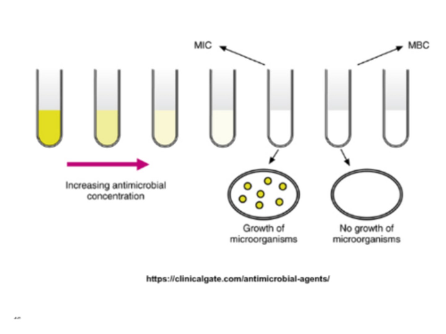 <p>different serial dilutions of antibiotics placed in growth medium, least concentration of drug that inhibits growth in tube that can be VISUALLY recorded</p>