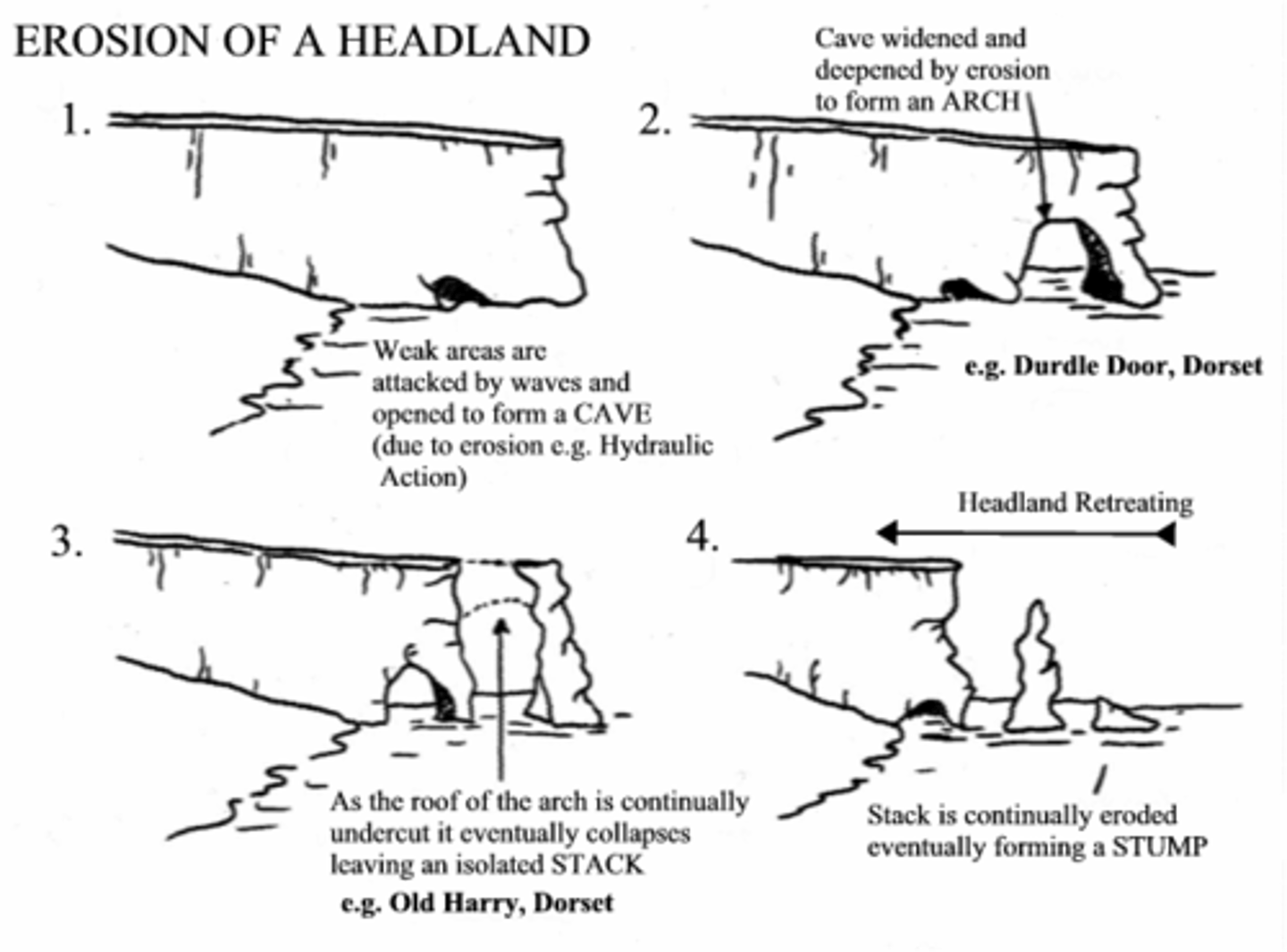 <p>1. The headland is eroded by the force of the waves 2. This creates a fault in the rock 3. This forms a cave 3. is eroded through, arch 4. Arch head falls, stack 4. Stack is undercut, stump</p>