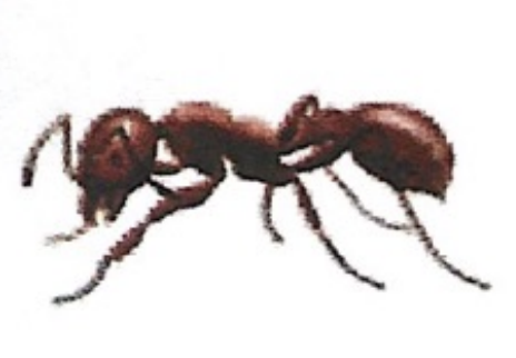 <p>ఇది ఏమిటి?</p>