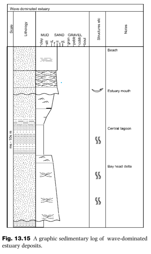 <p>Wave-dominated estuary deposits</p>